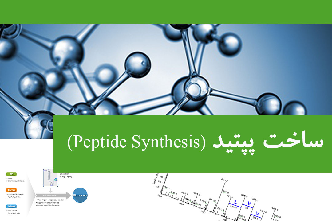 Peptide Synthesis