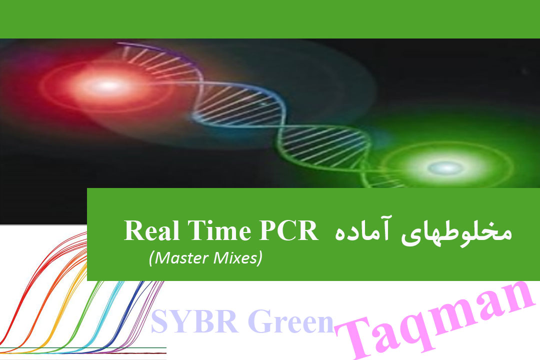 Real Time PCR Mastermixes