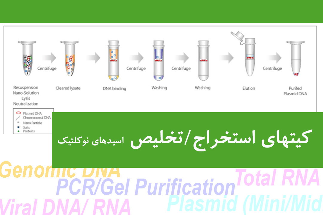 DNA/RNA Extration/Purification