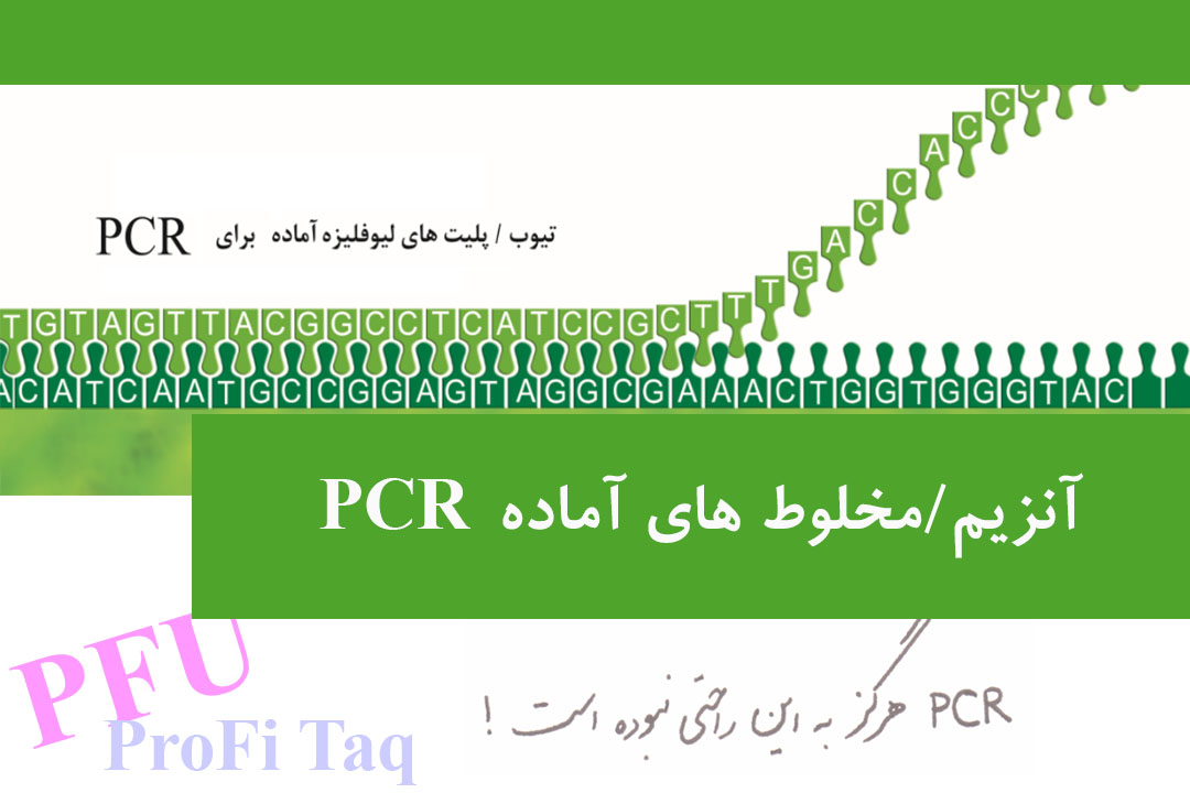 PCR Premixes